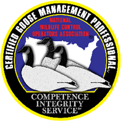 Certified Goose Management Professional