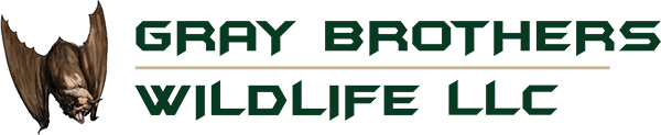 Gray Brothers Wildlife LLC logo
